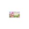 Little Trees Car Air Freshener, Morning Fresh, 3PK U3S-32028 - alternate 1
