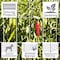 American Posts American Posts 36 in. H X 50 ft. L Steel Welded Wire Fence 2 in. 213650 - alternate 7