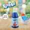 Kool Aid 16 Oz. Blue Raspberry Snow Cone Syrup KASCSYRP16BLRSP - alternate 5