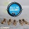 Combat Max 0.95 Oz. Tube Ant Bait Gel DIA 05457 - alternate 6