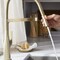 Blanco Rivana Semi-Pro 1.5 GPM, Satin Gold 442984 - alternate 8
