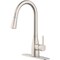 Home Impressions 1-Handle Pull-Down Kitchen Faucet Brushed Nickel FP4AF316NP-JPA1 - alternate 1
