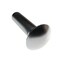 Zoro Select Carriage Bolt, Square Neck, 3/4"-10, 3 in L, Stainless Steel, 18-8, Not Applicable, 5 PK 31-CB-75C-300 - alternate 4