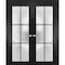 Sartodoors Solid French Double Doors Frosted Glass Planum 2122 Black 64x84 (2* 32x84) Solid Core PLANUM2122DD-BLK-64 x 84 (2* 32x84)-Butterfly - alternate 1