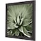 Homeroots Green Succulent III Brown Framed Print Wall Art 527047 - alternate 5