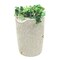Good Ideas Impressions Bark 50 Gallon Rain Saver - Sandstone IMP-C50-SAN - alternate 1