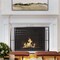 Lavish Home Fireplace Screen Single Panel Gate with Protective Mesh Spark Guard for Fire Place 80-FPSR-15 - alternate 9
