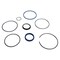 Agco SEALS KIT, AGCO OEM 700719999 700719999 - alternate 4