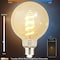 Homevenus Smart Edison Bulbs G95 E26 6W Dimmable Tunable Warm White 2100-5000K APP Control, 2PK SY-TF2CG95-02 - alternate 6