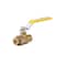 Proline Series Pack Gland Valve, Ips 1/4" 107-821NL - alternate 1