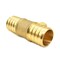Thrifco Plumbing 1/2" x 1/2" x 3/4" Brass Reducing Tee Lead Free F1807 - (PEX B) 7910231 - alternate 6
