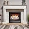 Bluegrass Living Vent Free Dual Fuel Log Set, 24 in Birch Wood, 33,000 BTU, Remote Control B24DR-ES3 - alternate 5