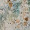 Homeroots 10' X 14' Teal Blue And Green Floral Washable Indoor Outdoor Area Rug 583147 - alternate 9