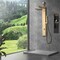 Anzzi Dion Series 39 in. 2-Jetted Shower Tower with Heavy Rain Shower and Body Jets SP-AZ082BG - alternate 6