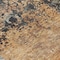 Homeroots 8' Copper And Black Round Abstract Washable Indoor Outdoor Area Rug 606070 - alternate 8