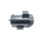 Marathon AC MOTOR 56C 1HP 1725RPM 5/8IN 460V-AC 3PH V56H17F2021AK - alternate 5