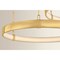 Corbett Lighting Chiasso 3 Light Chandelier in Vintage Polished Brass Finish 537-56-VPB - alternate 7