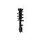 Fcs Struts Suspension Strut And Coil Spring Assembly 1333957R - alternate 1