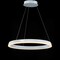 Jonathan Y Baxter 23.5" 1-Light Modern Contemporary Aluminum Integrated LED Hoop Pendant, Matt White JYL7200A - alternate 14