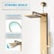 Anzzi Dion Series 39 in. 2-Jetted Shower Tower with Heavy Rain Shower and Body Jets SP-AZ082BG - alternate 7