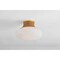 Hudson Valley Lighting Pearl river 15 in. Flush Mount Aged Brass 2310-AGB - alternate 7