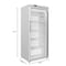Koolmore 30 in. 21 cu. ft. Commercial Auto Defrost Glass Door Reach-In Freezer in White KM-RIF-1GD21C-A KM-RIF-1GD21C-A - alternate 8