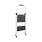 Tricam Lift Ladders 40.16 in. H X 17.3 in. W X 2.5 in. D 225 lb. capacity 2 step Steel Folding Step LLS-2 - alternate 5