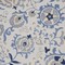 Homeroots 7' X 10' Blue Gray And Navy Blue Floral Indoor Outdoor Area Rug 546688 - alternate 9