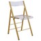 Leisuremod Menno Modern Acrylic Gold Base Folding Chair, Clear MFG15CL - alternate 1