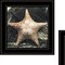 Homeroots Set Of Two Ocean Net 2 Black Framed Print Wall Art, 2PK 408210 - alternate 3