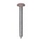 Auveco 10 x 1 1/2in Tan Painted Square Drive Pan Head Tapping Screw, 100PK 25392 - alternate 1