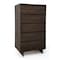 Homeroots 32in Dark Brown Solid Wood Frame Accent Chest With Five Drawers 473066 - alternate 1