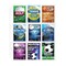 C-Line Products 9" x 11-1/4" Clear Collector's Edition Poly Trading Card Holders, 10/PK, 24PK/DS, 3DS/CT 62590-DS - alternate 6