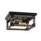 Jonathan Y Cheshire 13" 2-Light Iron Rustic Farmhouse LED Flush Mount, Brown/Black JYL7480A - alternate 10