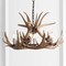 Jonathan Y Nelle 28.5" Adjustable Resin Antler 6-Light Chandelier, Brown JYL6302A - alternate 17