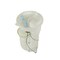 Autobest 00-02 Audi Tt-911 1.8L Value Fuel Pump, F4562A F4562A - alternate 11