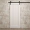 Sartodoors Modern Barn Door 30 x 96 inches, Ego 5006 Painted White Oak, 6.6FT Rail Track Heavy Hardware Set ,  EGO5006BD-B-PWO-3096 - alternate 6