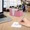 Acrimet Desktop Organizer Pencil, Pen, Paper, Clip, Caddy Holder (Plastic) (Paper Included) (Pink Color) 954.RO - alternate 8