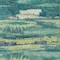 Homeroots 5' X 8' Emerald And Lime Green Abstract Washable Indoor Outdoor Area Rug 612498 - alternate 9