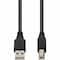 Add-On Addon 4.57M (15.00Ft) Usb 2.0 (A) Male To Usb 2.0 (B) Male Black Cable USBEXTAB15 - alternate 1