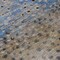 Homeroots 8' Khaki And Taupe Round Abstract Washable Indoor Outdoor Area Rug 609464 - alternate 5