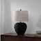 Jonathan Y Alaro 24.5" Farmhouse Coastal Water Hyacinth Basket LED Table Lamp, Black JYL6501D - alternate 8