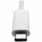 Tripp Lite USB C to DVI Multiport Adapter w/ USB-A, USB-C PD Charging & Gbe U444-06N-DGU-C - alternate 10