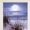 Homeroots The Seashore White Framed Print Wall Art 415374 - alternate 6