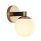 Jonathan Y Modernist Globe 5.75" 1-Light Metal/Frosted Glass Modern Contemporary LED Vanity, Brass Gold/Black JYL3540A - alternate 11