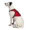 Guardian Gear Reflective Harness, 24 to 35 in, Fastening Method: O-Ring Strap, Nylon Harness, True Red ZA0031 20 83 - alternate 7