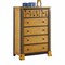 Homeroots 18" X 33" X 48" Honey Oak Espresso Wood Chest 347199 - alternate 5