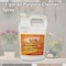 Miraclemist MMAP-1 1 gal All Purpose Cleaner Spray MMAP-1 - alternate 3