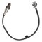 Motorcraft Oxygen Sensor,  DY1620 - alternate 2