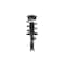 Fcs Struts Suspension Strut And Coil Spring Assembly 2333942R - alternate 1